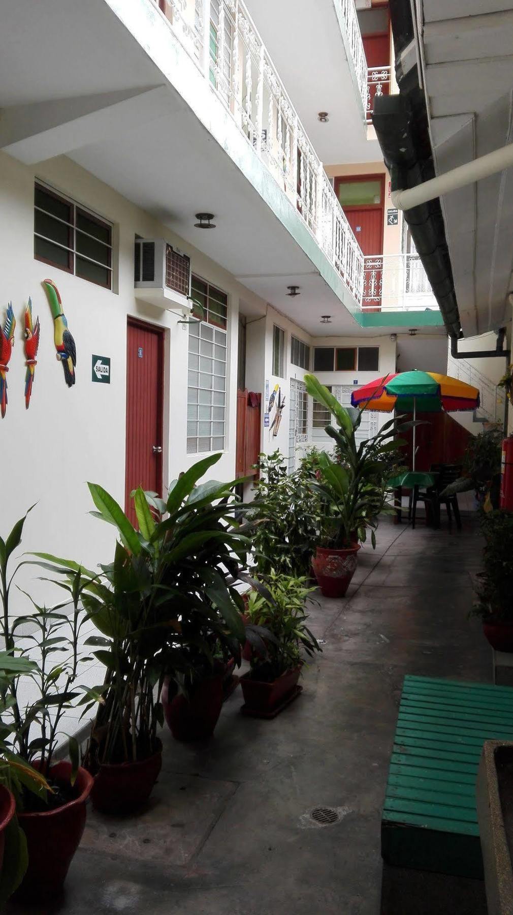 Hostal El Colibri Iquitos Exterior foto